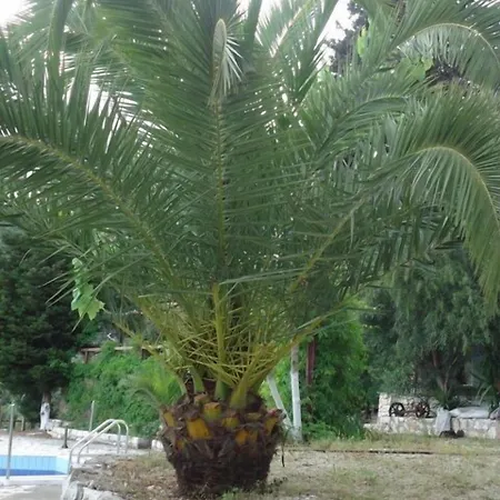 Poros Beach Aparthotel