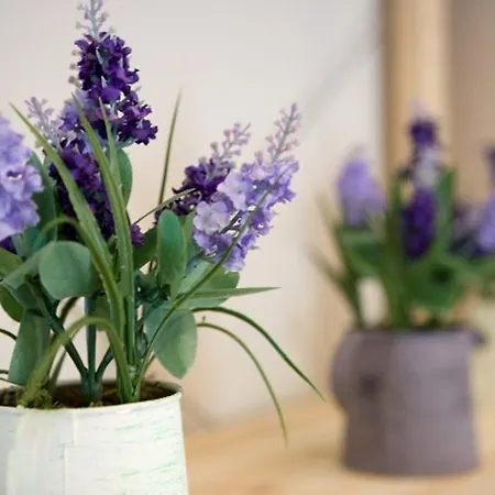 Poros Beach 2* Mikros Gialos