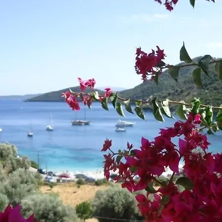 Poros Μικρός Γιαλός